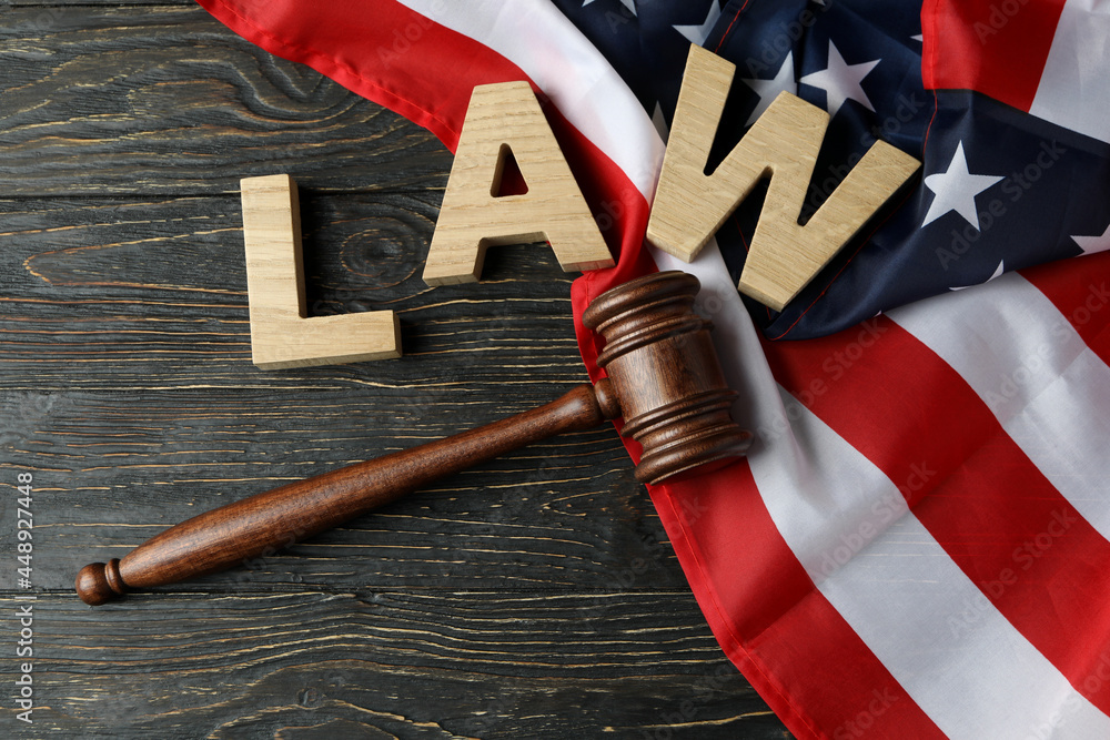 usa litigation law